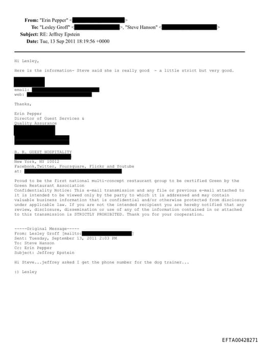 Preview of EFTA00428271