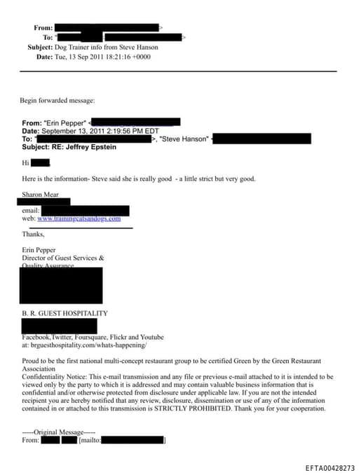 Preview of EFTA00428273