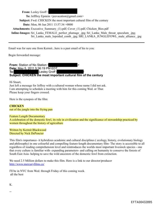 Preview of EFTA00432895