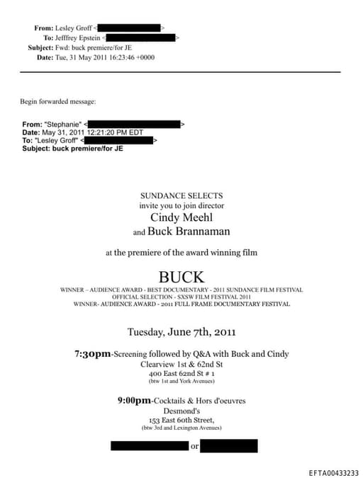 Preview of EFTA00433233