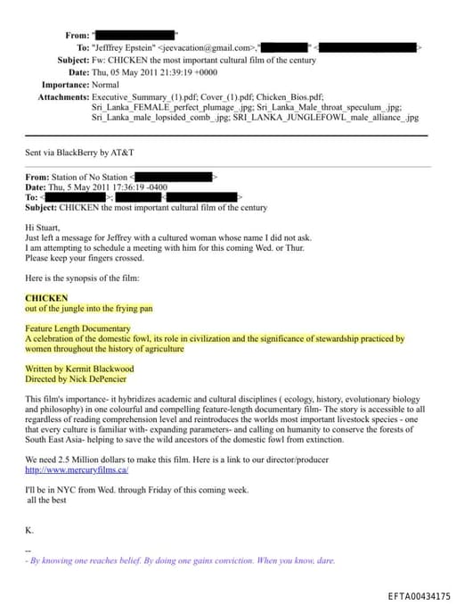 Preview of EFTA00434175