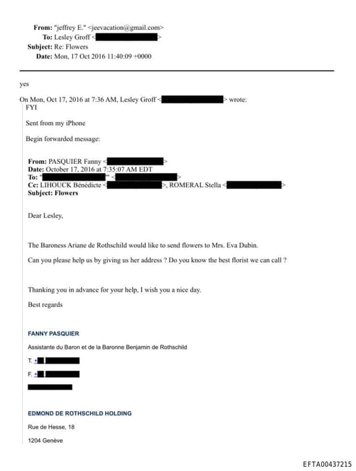 Preview of EFTA00437215