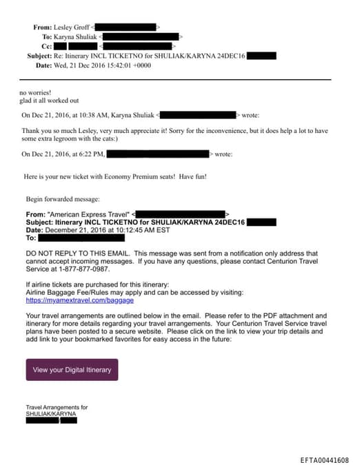 Preview of EFTA00441608