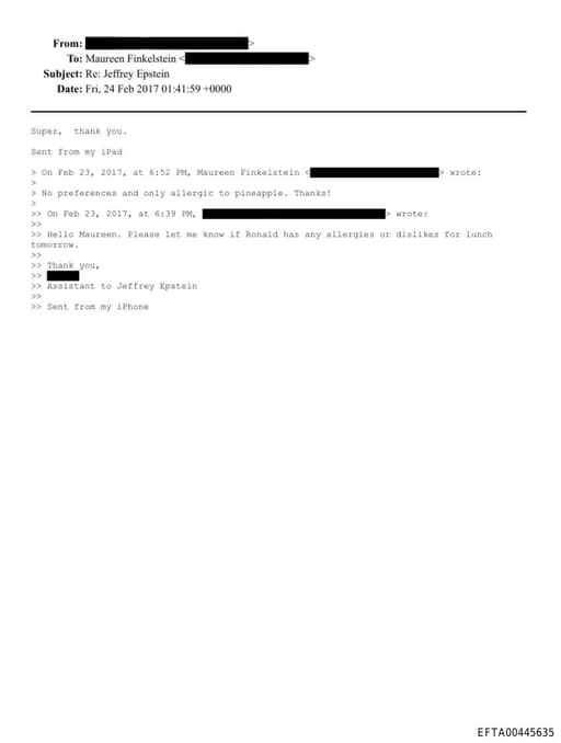 Preview of EFTA00445635