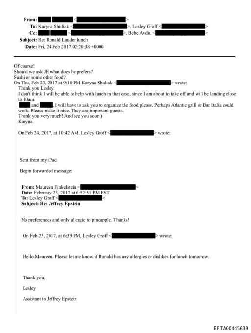 Preview of EFTA00445639