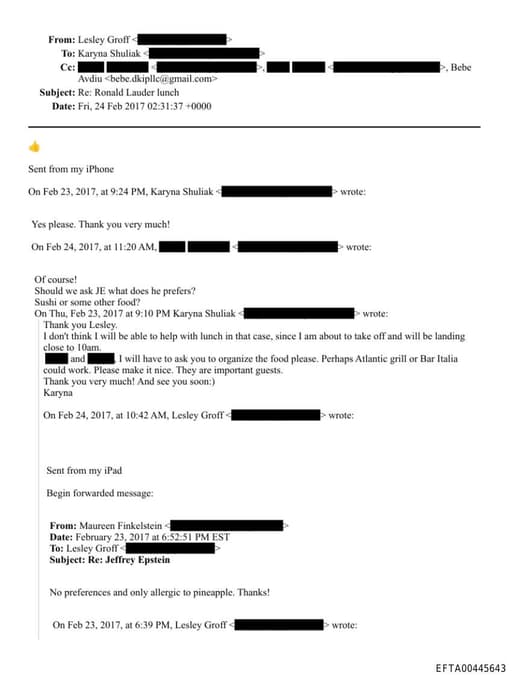 Preview of EFTA00445643