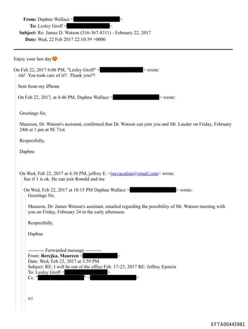 Preview of EFTA00445981