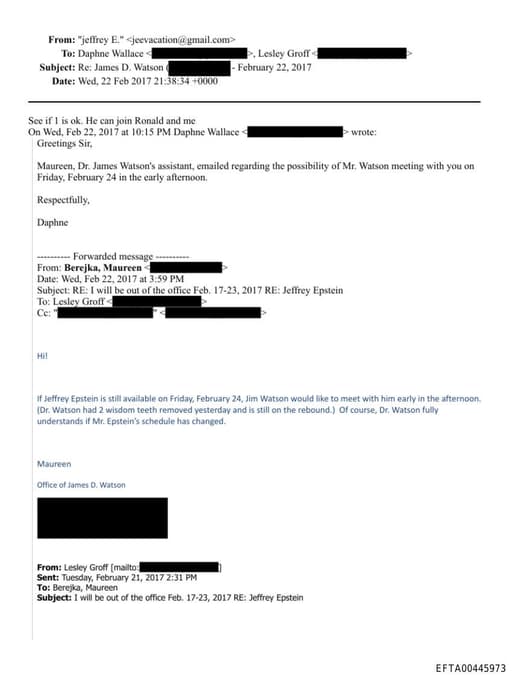 Preview of EFTA00445973