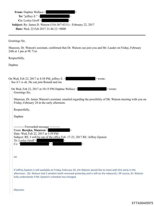 Preview of EFTA00445975