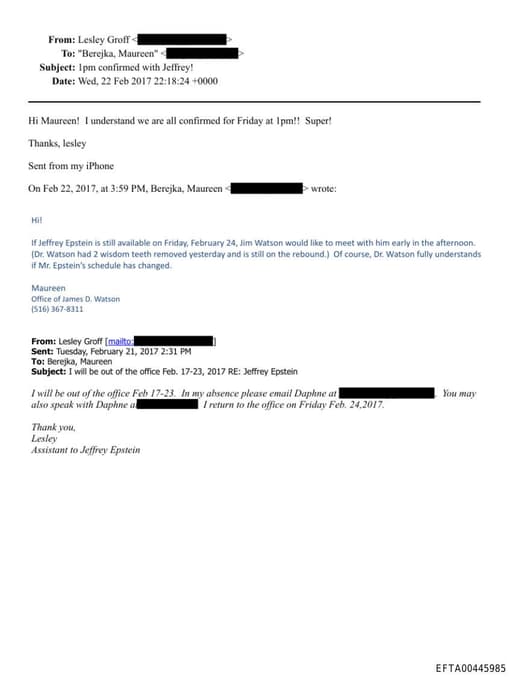 Preview of EFTA00445985