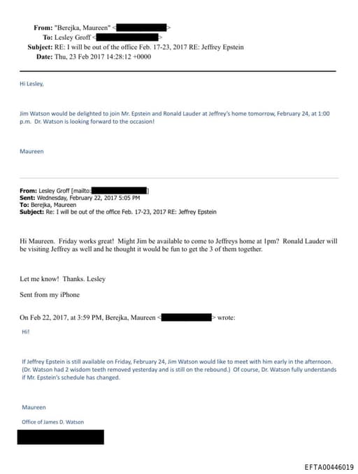 Preview of EFTA00446019