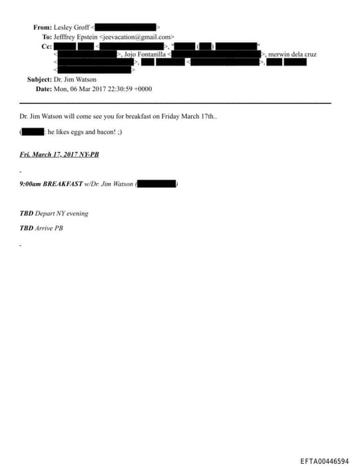 Preview of EFTA00446594