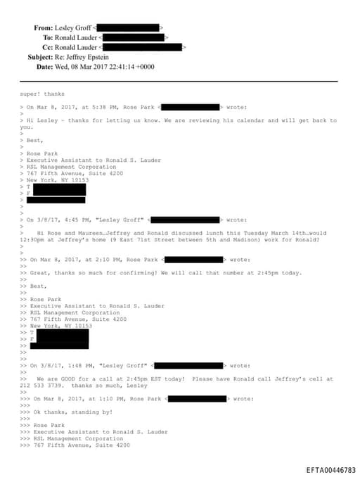 Preview of EFTA00446783