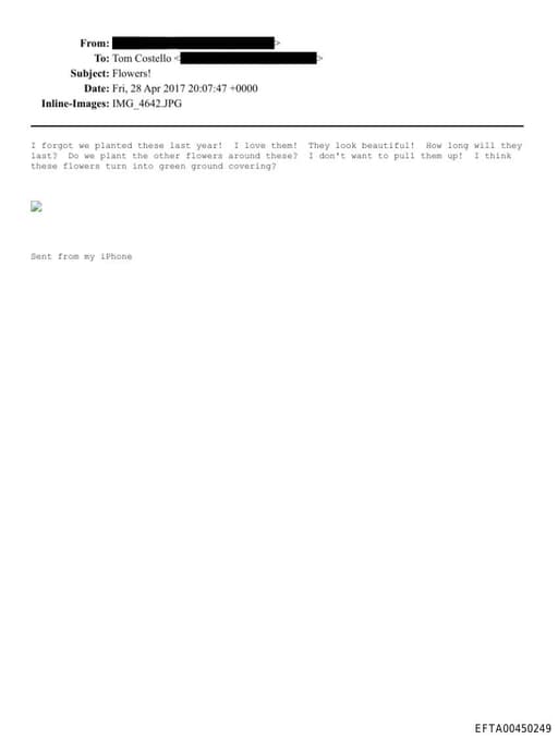 Preview of EFTA00450249