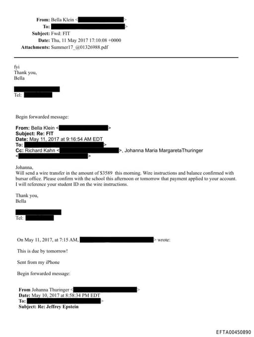 Preview of EFTA00450890