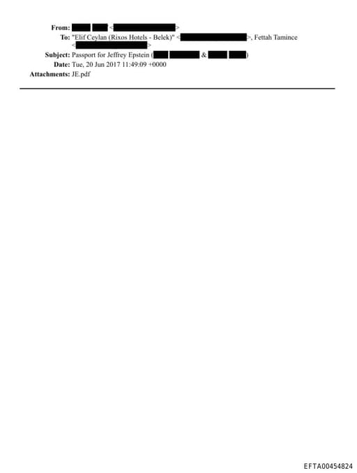 Preview of EFTA00454824