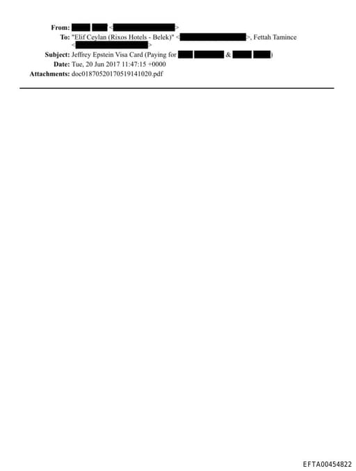 Preview of EFTA00454822