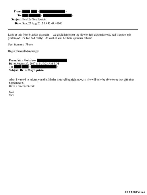 Preview of EFTA00457542