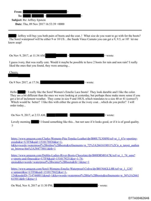 Preview of EFTA00462646