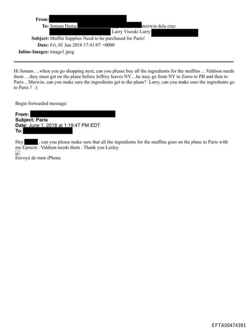 Preview of EFTA00474391