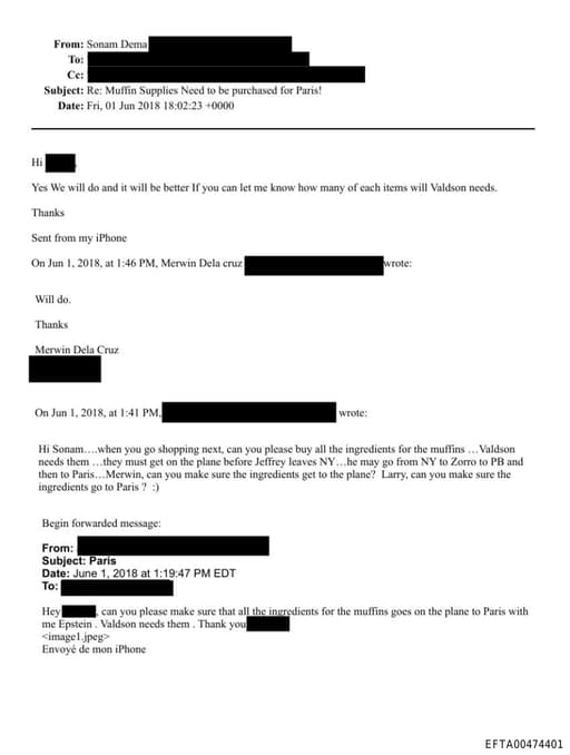 Preview of EFTA00474401