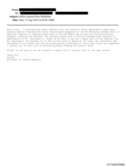 Preview of EFTA00479898