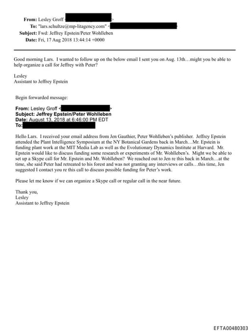 Preview of EFTA00480303