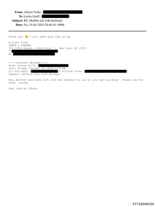 Preview of EFTA00484194