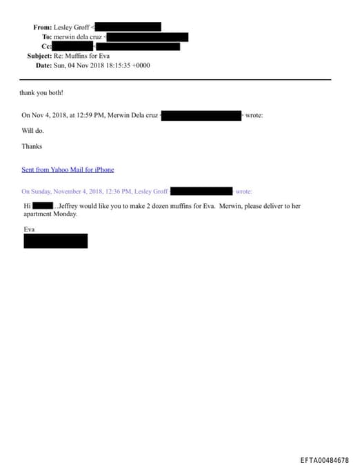 Preview of EFTA00484678