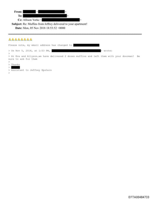 Preview of EFTA00484733