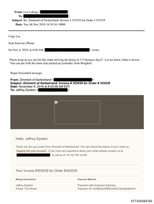 Preview of EFTA00484760