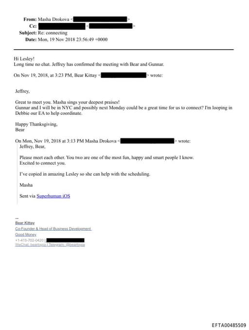 Preview of EFTA00485509