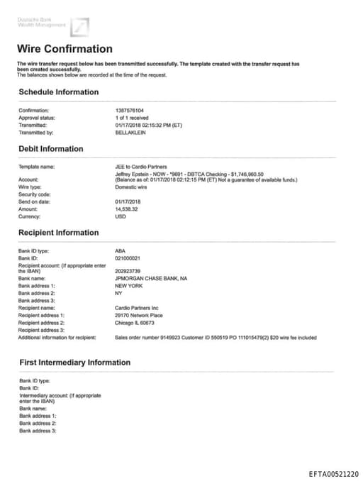 Preview of EFTA00521220