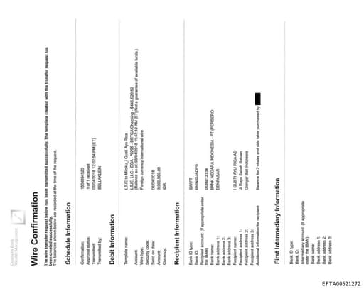 Preview of EFTA00521272