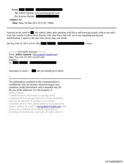 Preview of EFTA00528074