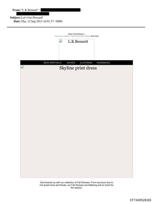 Preview of EFTA00528165