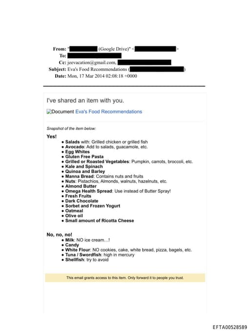 Preview of EFTA00528589