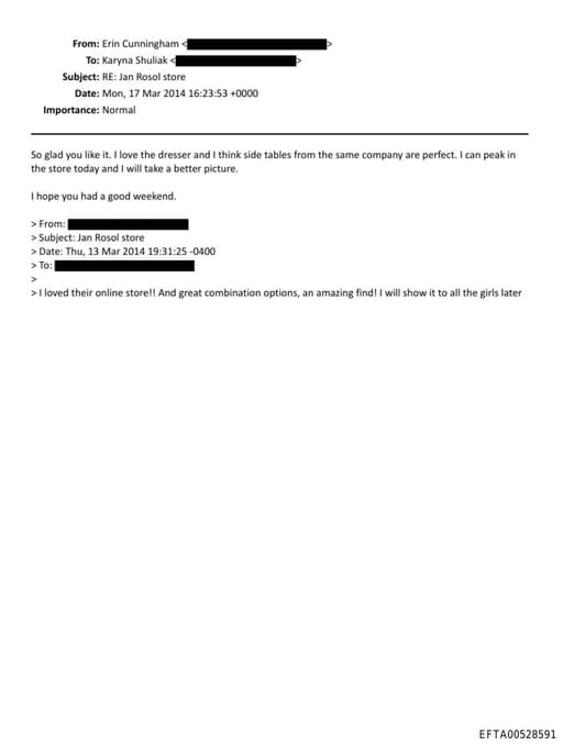 Preview of EFTA00528591