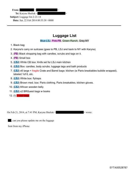 Preview of EFTA00528787