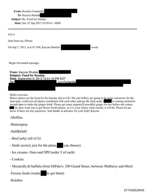 Preview of EFTA00529445