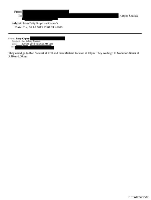 Preview of EFTA00529588