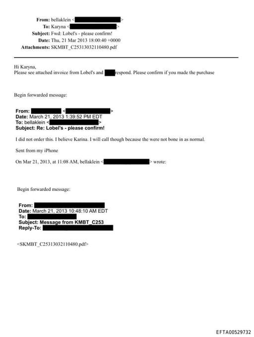 Preview of EFTA00529732