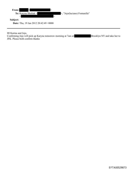 Preview of EFTA00529873