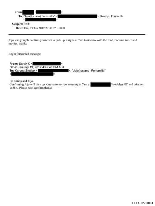 Preview of EFTA00530004