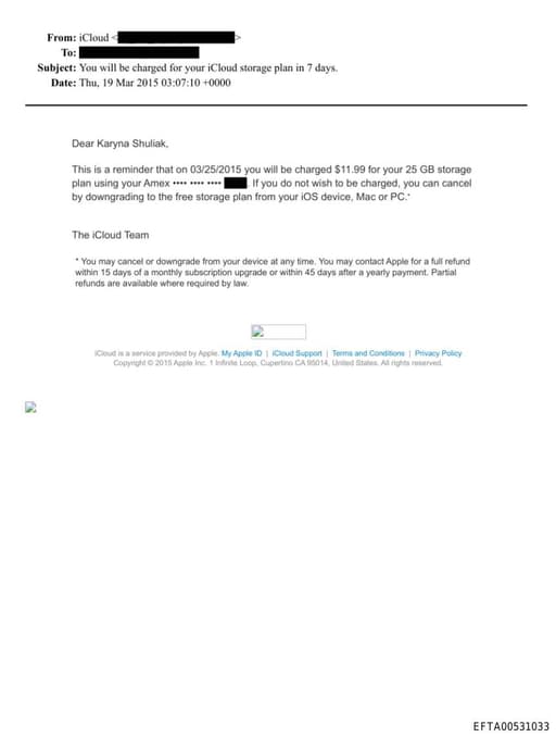 Preview of EFTA00531033