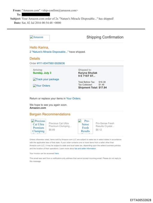 Preview of EFTA00532828