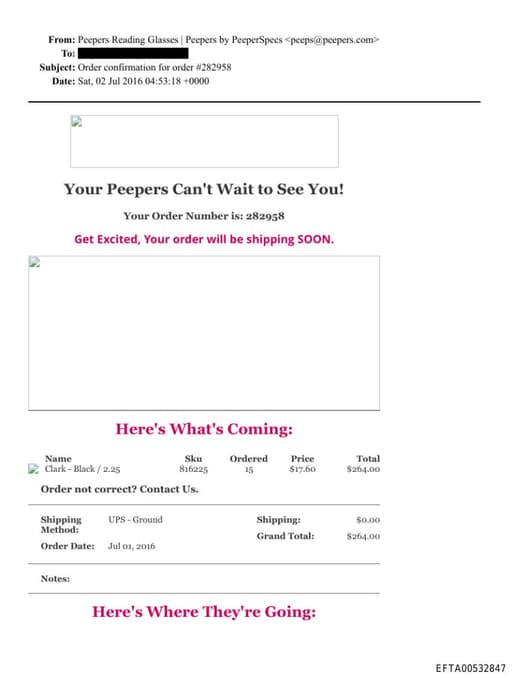 Preview of EFTA00532847