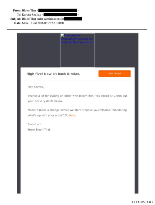 Preview of EFTA00533342