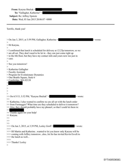 Preview of EFTA00536561