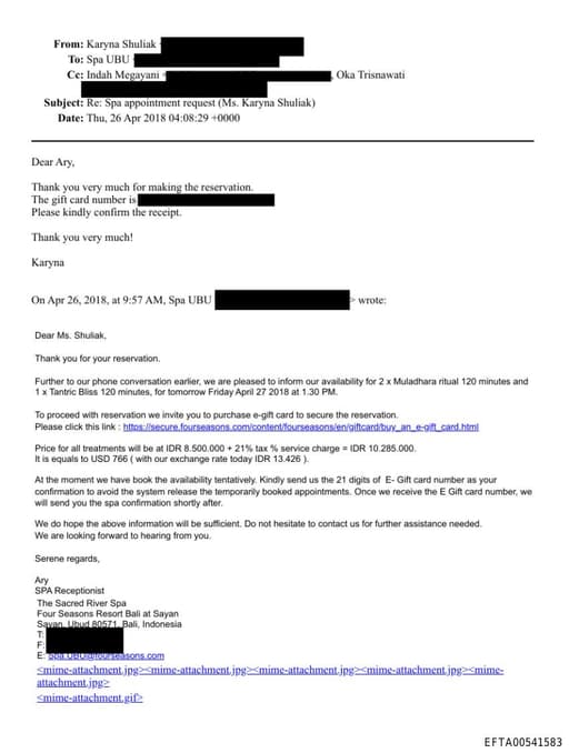 Preview of EFTA00541583